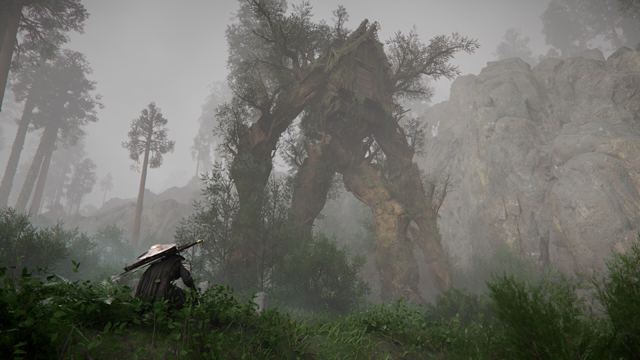 Crimson Desert: screenshot 9 of 10