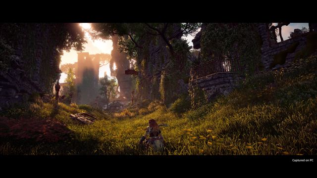 Horizon Zero Dawn: screenshot 5 of 5